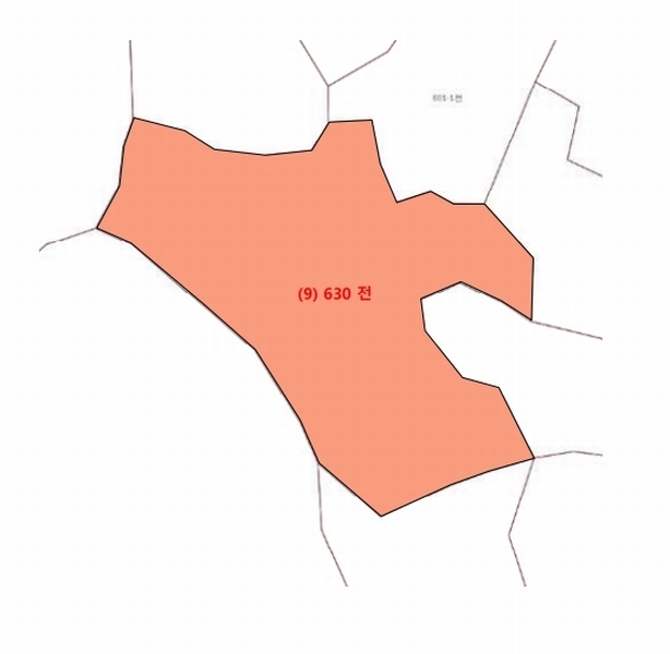 2021타경1030 강원특별자치도 평창군 대화면 대화리 산276 농지 경매 이미지