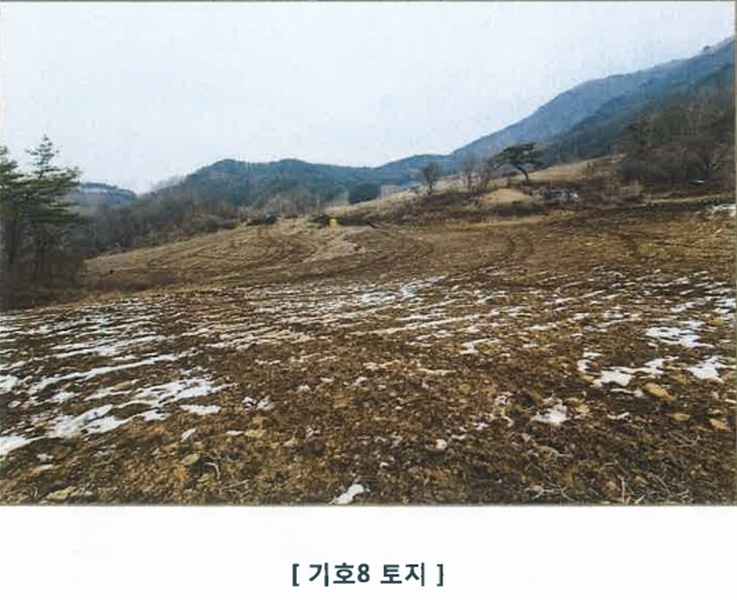 2021타경1030 강원특별자치도 평창군 대화면 대화리 산276 농지 경매 이미지
