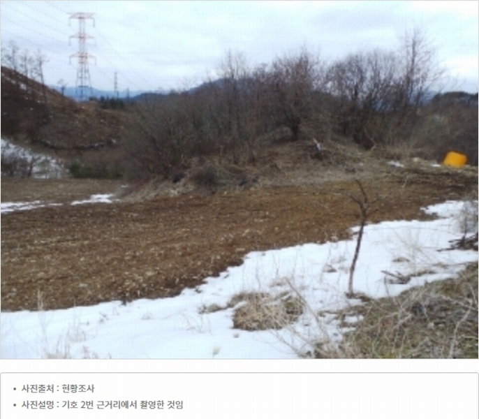 2021타경1030 강원특별자치도 평창군 대화면 대화리 산276 농지 경매 이미지