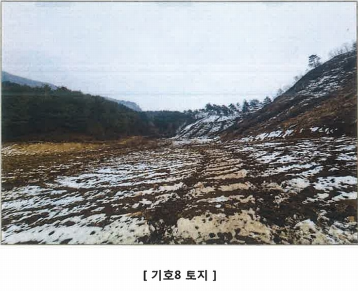 2021타경1030 강원특별자치도 평창군 대화면 대화리 산276 농지 경매 이미지