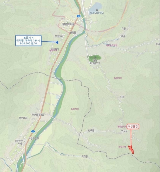 2021타경1030 강원특별자치도 평창군 대화면 대화리 산276 농지 경매 이미지