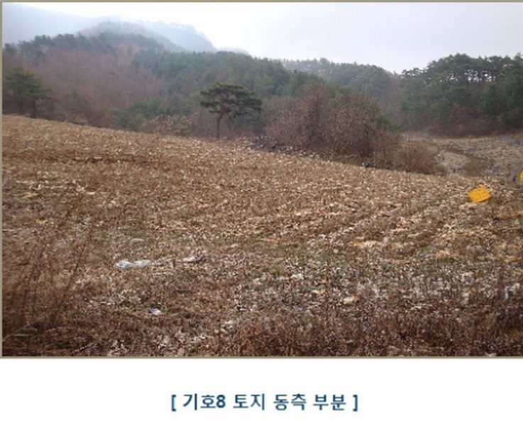 2021타경1030 강원특별자치도 평창군 대화면 대화리 산276 농지 경매 이미지