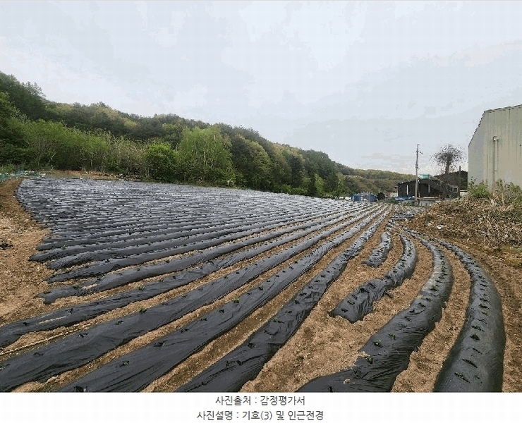 2025타경30412 강원특별자치도 평창군 봉평면 면온리 873-1 농지 경매 이미지