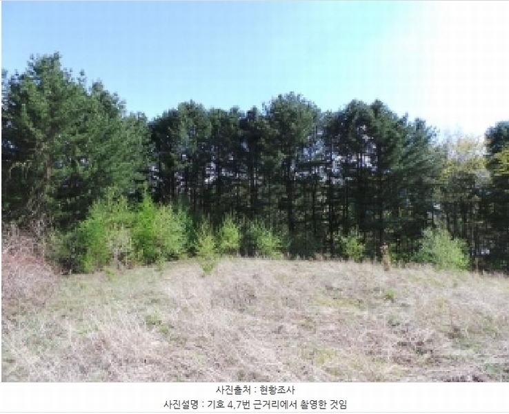 2025타경30442 강원특별자치도 평창군 봉평면 무이리 783 임야 경매 이미지