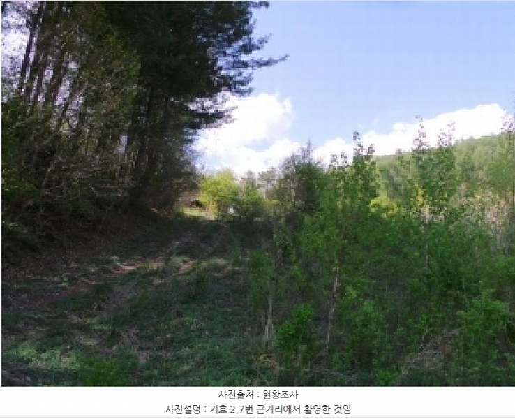 2025타경30442 강원특별자치도 평창군 봉평면 무이리 783 임야 경매 이미지