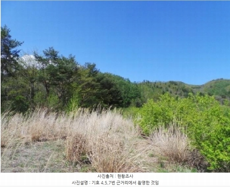 2025타경30442 강원특별자치도 평창군 봉평면 무이리 783 임야 경매 이미지