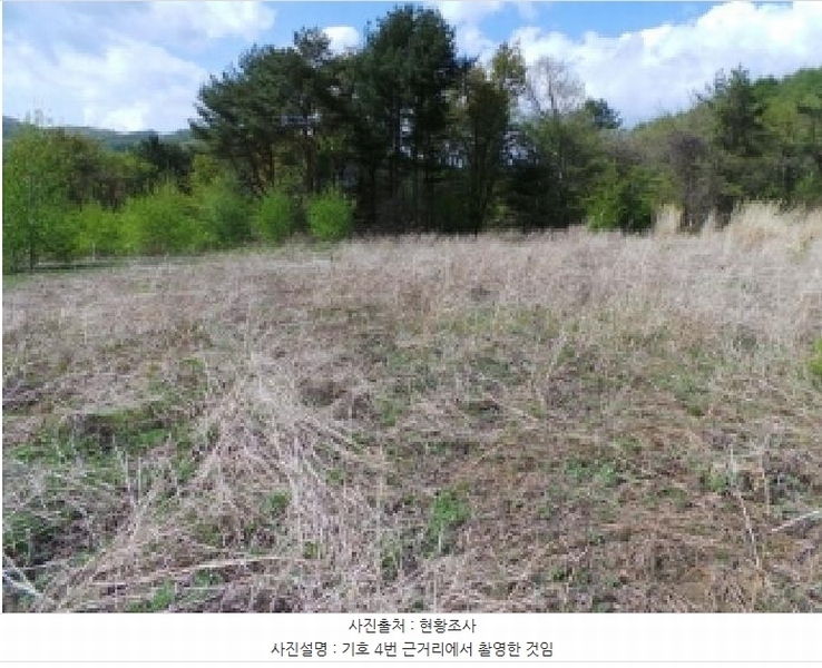 2025타경30442 강원특별자치도 평창군 봉평면 무이리 783 임야 경매 이미지