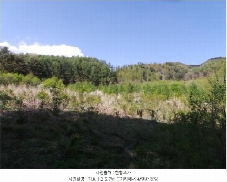 2025타경30442 강원특별자치도 평창군 봉평면 무이리 783 임야 경매 이미지