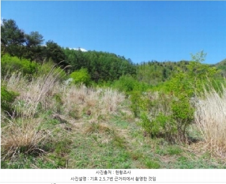 2025타경30442 강원특별자치도 평창군 봉평면 무이리 783 임야 경매 이미지