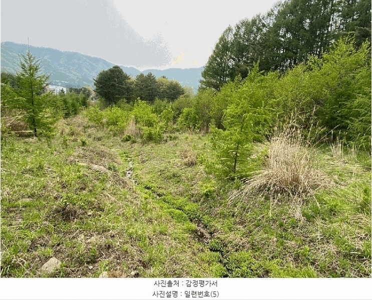 2025타경30442 강원특별자치도 평창군 봉평면 무이리 783 임야 경매 이미지