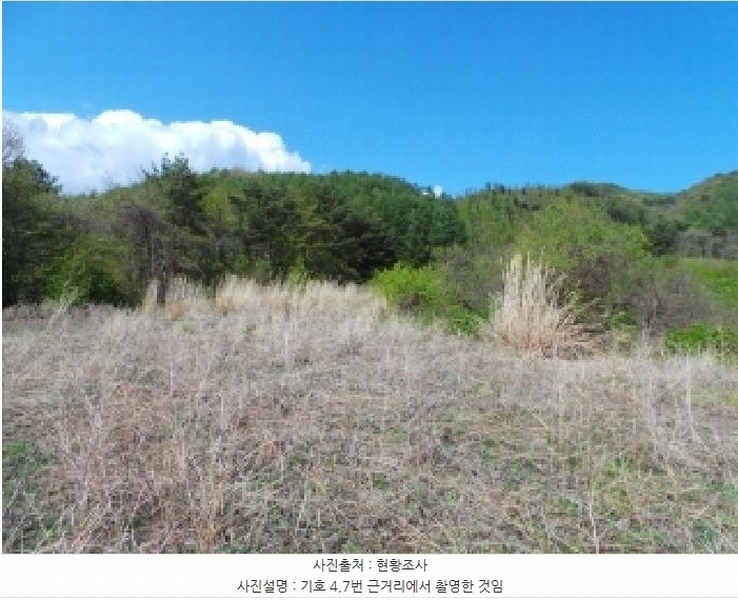 2025타경30442 강원특별자치도 평창군 봉평면 무이리 783 임야 경매 이미지