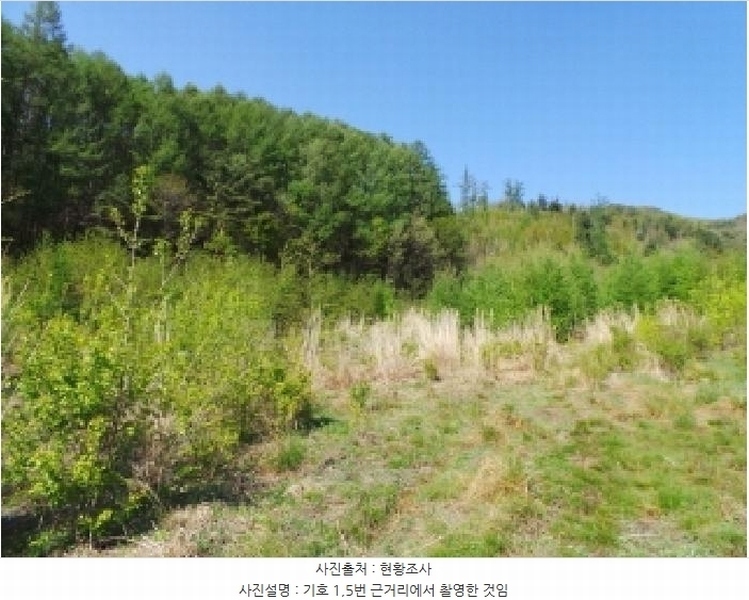 2025타경30442 강원특별자치도 평창군 봉평면 무이리 783 임야 경매 이미지