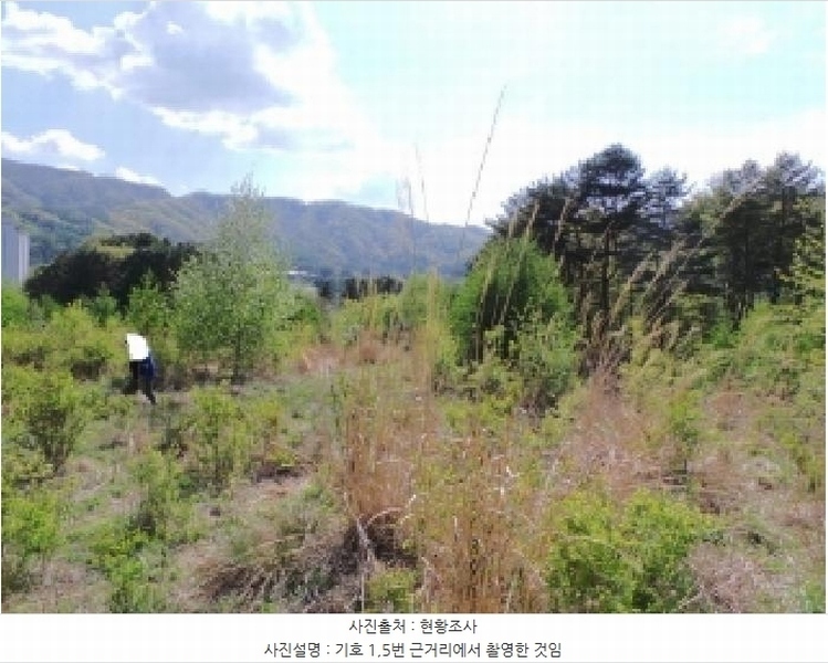 2025타경30442 강원특별자치도 평창군 봉평면 무이리 783 임야 경매 이미지