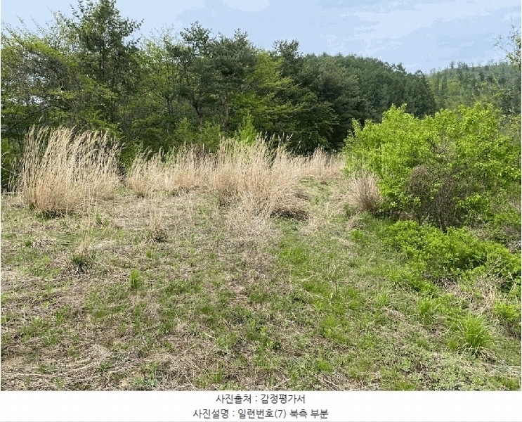 2025타경30442 강원특별자치도 평창군 봉평면 무이리 783 임야 경매 이미지