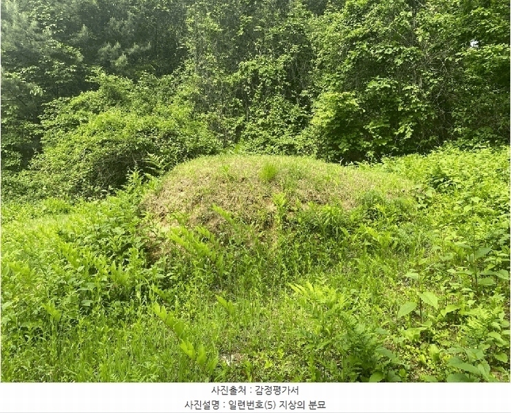 2025타경30442 강원특별자치도 평창군 봉평면 무이리 783 임야 경매 이미지