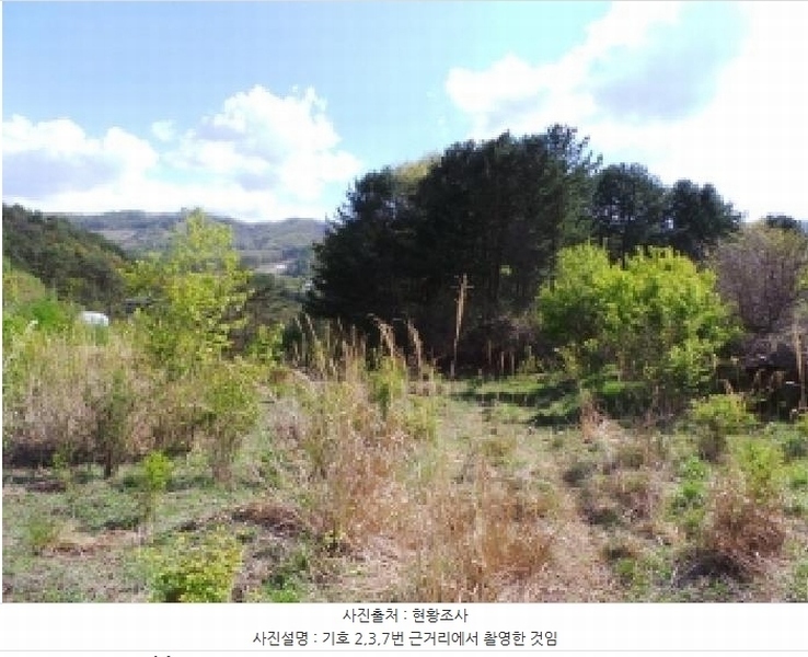 2025타경30442 강원특별자치도 평창군 봉평면 무이리 783 임야 경매 이미지
