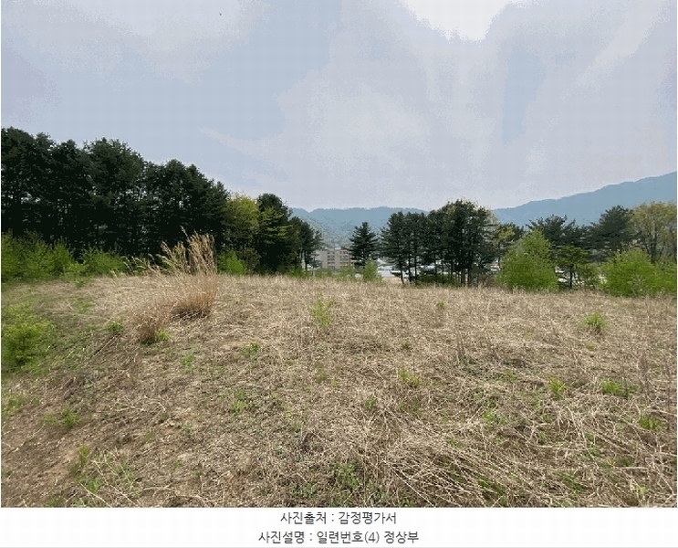 2025타경30442 강원특별자치도 평창군 봉평면 무이리 783 임야 경매 이미지