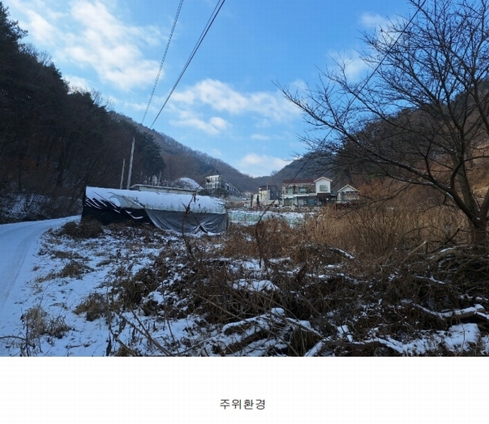 2025타경20378 강원특별자치도 원주시 판부면 서곡리 1347-1 임야 경매 이미지