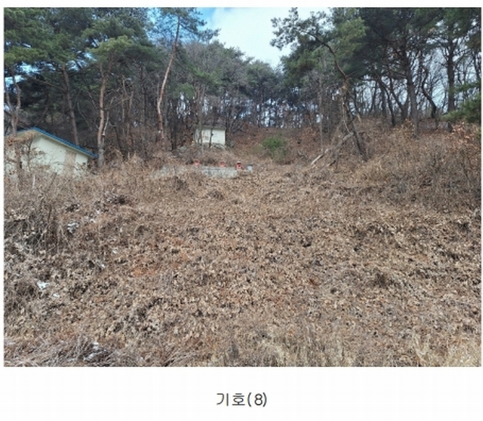 2025타경20378 강원특별자치도 원주시 판부면 서곡리 1347-1 임야 경매 이미지