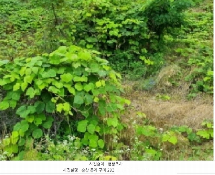 2025타경30187 전북특별자치도 순창군 동계면 구미리 293 농지 경매 이미지