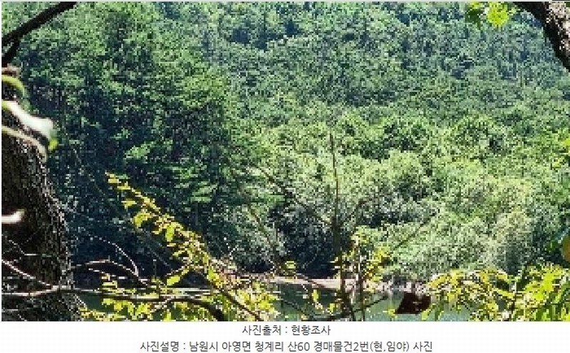2025타경1166 전북특별자치도 남원시 아영면 청계리 산60 임야 경매 이미지