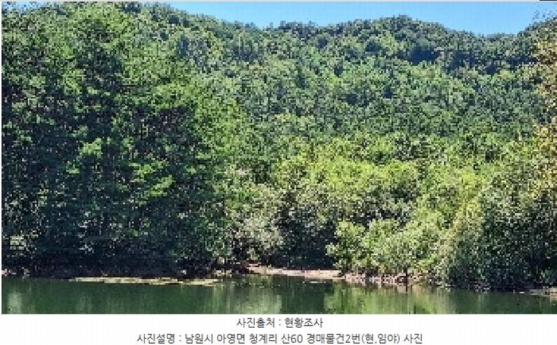 2025타경1166 전북특별자치도 남원시 아영면 청계리 산60 임야 경매 이미지