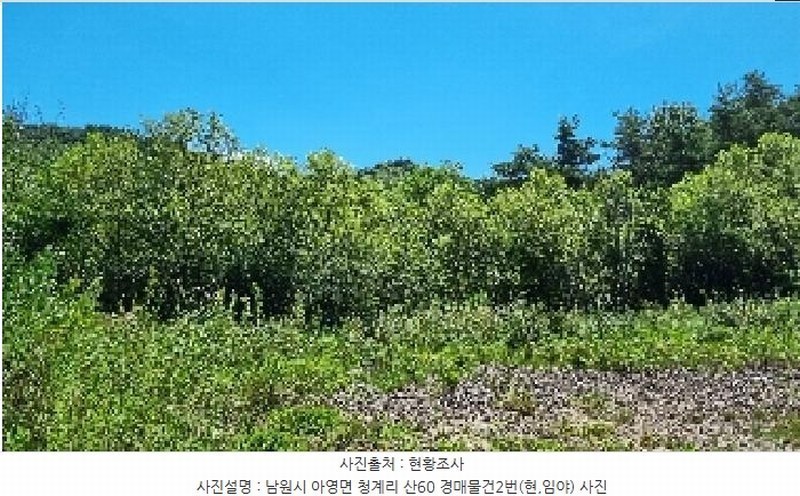 2025타경1166 전북특별자치도 남원시 아영면 청계리 산60 임야 경매 이미지