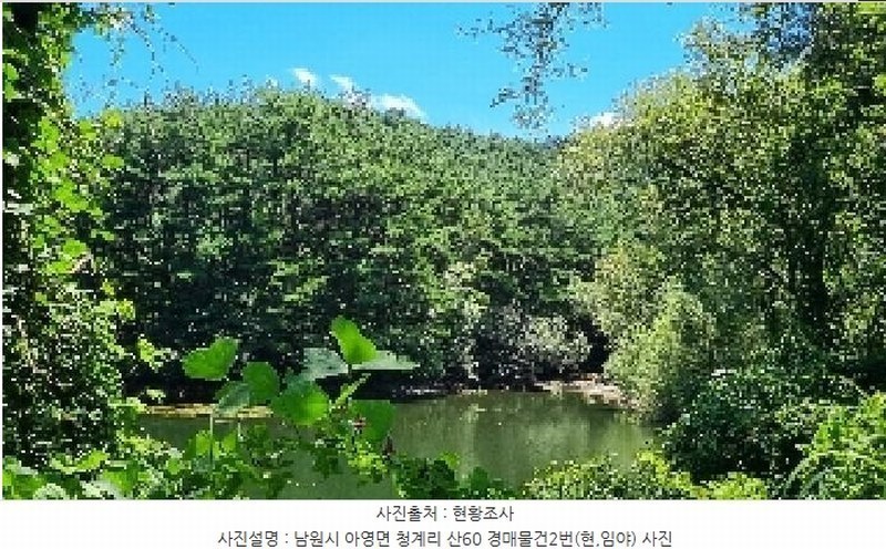 2025타경1166 전북특별자치도 남원시 아영면 청계리 산60 임야 경매 이미지