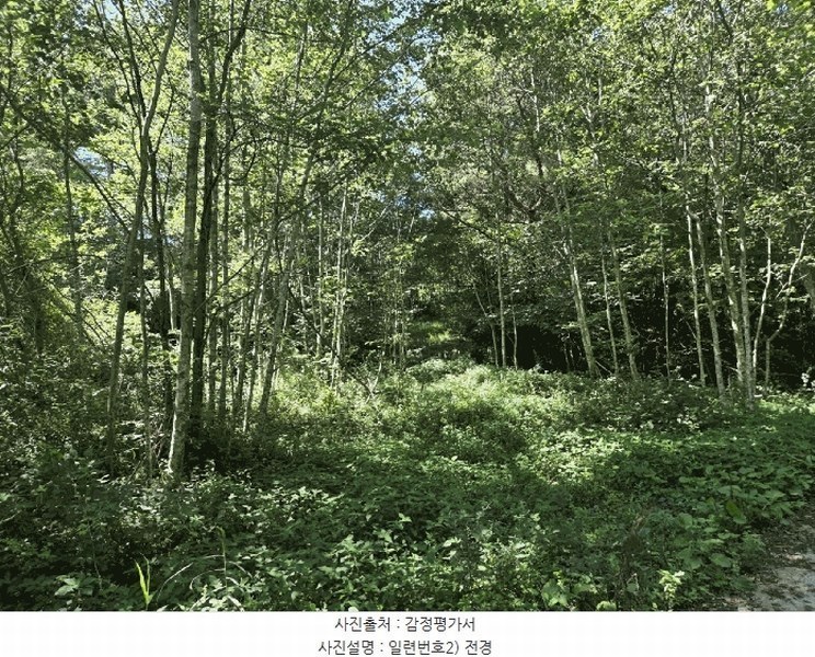 2025타경1166 전북특별자치도 남원시 아영면 청계리 산60 임야 경매 이미지