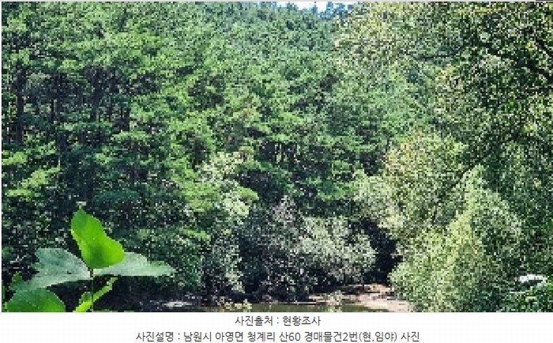 2025타경1166 전북특별자치도 남원시 아영면 청계리 산60 임야 경매 이미지