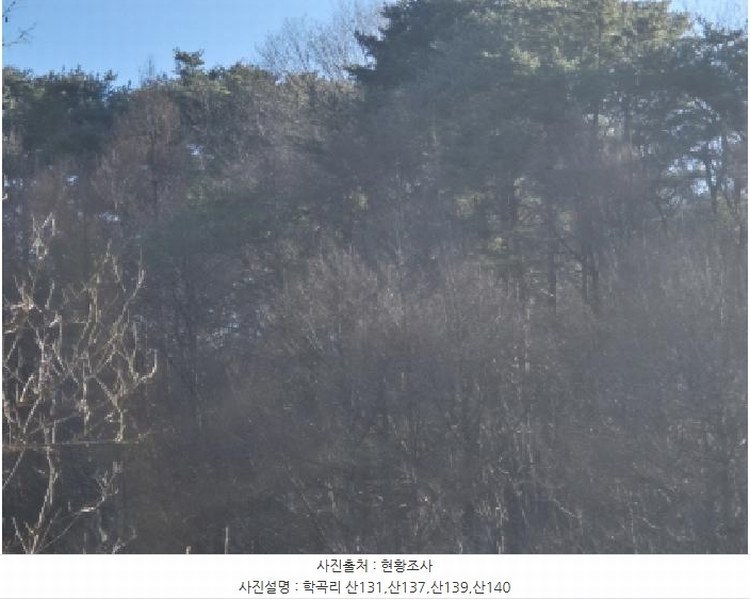 2024타경12079 경상북도 울진군 평해읍 거일리 산130 임야 경매 이미지