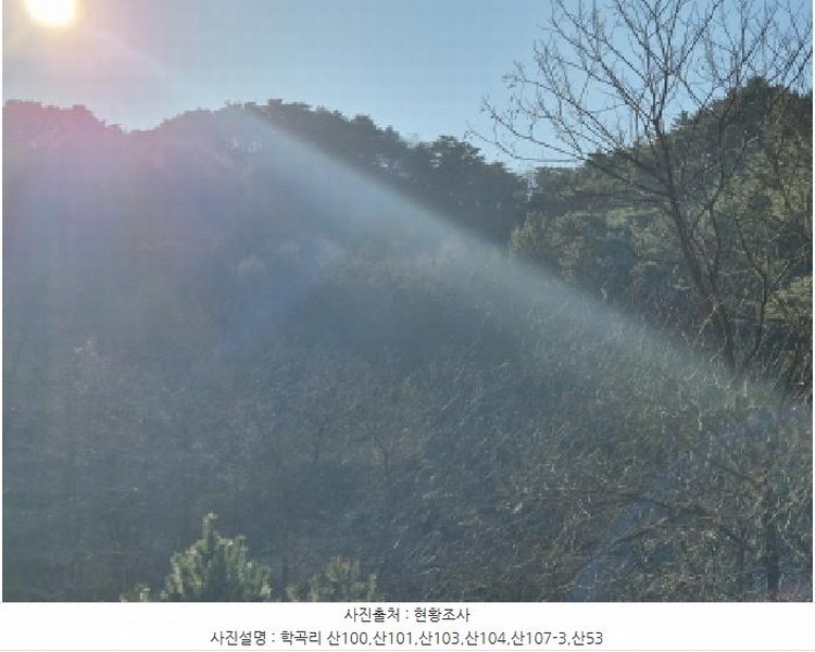 2024타경12079 경상북도 울진군 평해읍 거일리 산103 임야 경매 이미지