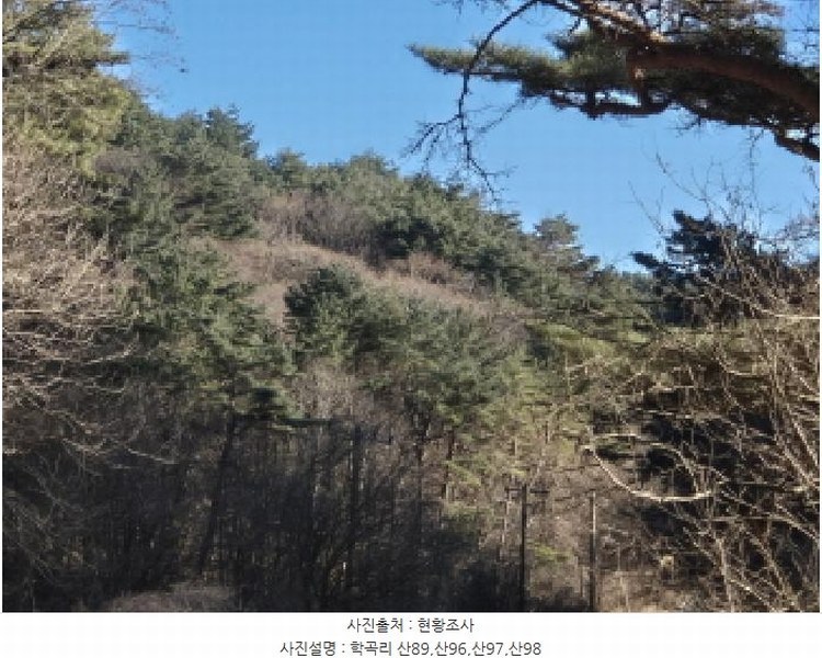 2024타경12079 경상북도 울진군 평해읍 거일리 산96 임야 경매 이미지