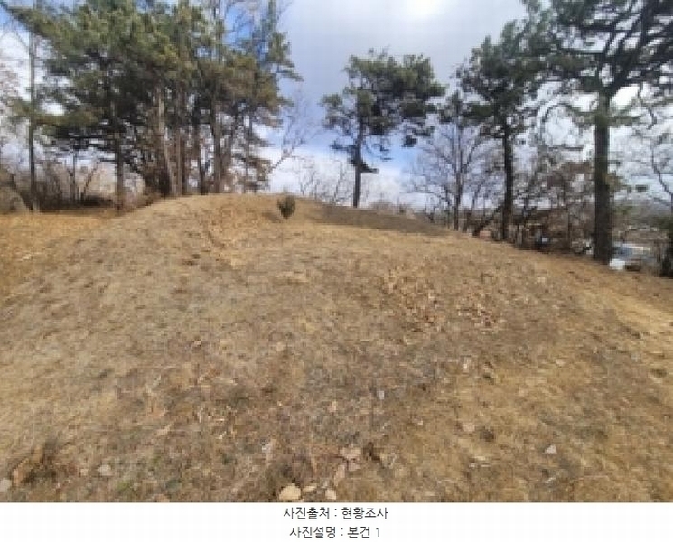 2025타경52201 충청북도 청주시 청원구 북이면 금암리 99-5 농지 경매 이미지