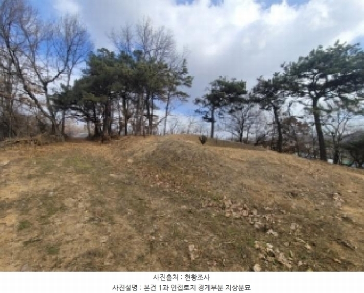 2025타경52201 충청북도 청주시 청원구 북이면 금암리 99-5 농지 경매 이미지