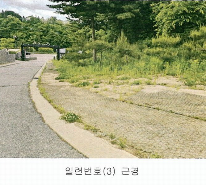 2024타경793 강원특별자치도 평창군 대관령면 횡계리 344-98 농지 경매 이미지