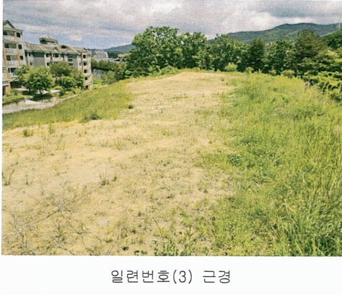 2024타경793 강원특별자치도 평창군 대관령면 횡계리 344-98 농지 경매 이미지