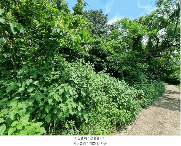 2025타경1380 제주특별자치도 서귀포시 서호동 101 임야 경매 이미지