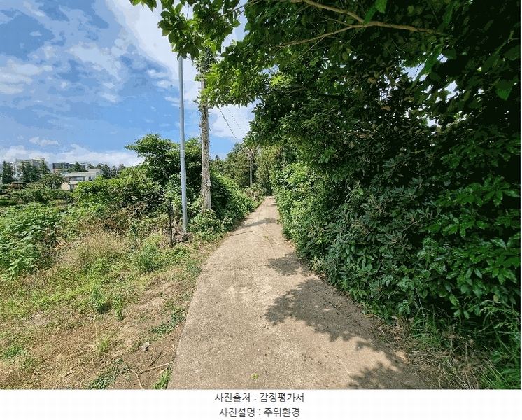 2025타경1380 제주특별자치도 서귀포시 서호동 101 임야 경매 이미지