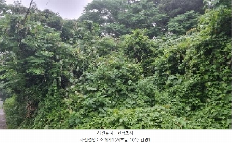 2025타경1380 제주특별자치도 서귀포시 서호동 101 임야 경매 이미지