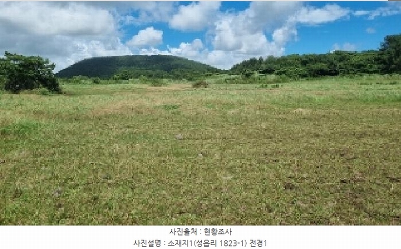 2025타경8168 제주특별자치도 서귀포시 표선면 성읍리 1823-1 임야 경매 이미지