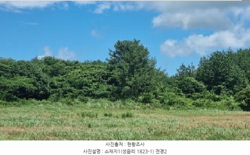 2025타경8168 제주특별자치도 서귀포시 표선면 성읍리 1823-1 임야 경매 이미지