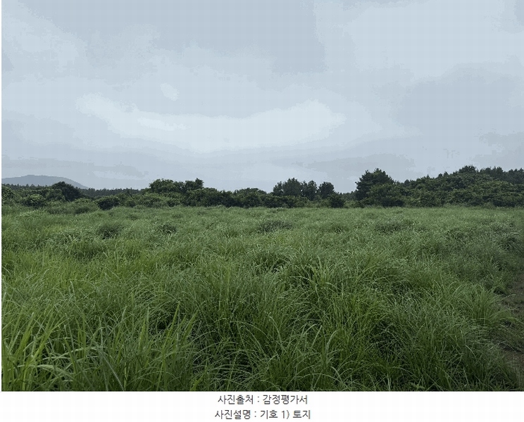 2025타경8168 제주특별자치도 서귀포시 표선면 성읍리 1823-1 임야 경매 이미지