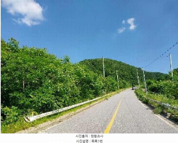 2025타경20290 충청남도 청양군 대치면 형산리 15-1 임야 경매 이미지