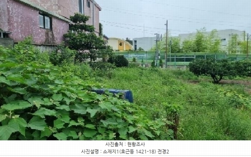 2025타경8341 제주특별자치도 서귀포시 호근동 1421-18 농지 경매 이미지