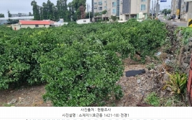 2025타경8341 제주특별자치도 서귀포시 호근동 1421-18 농지 경매 이미지