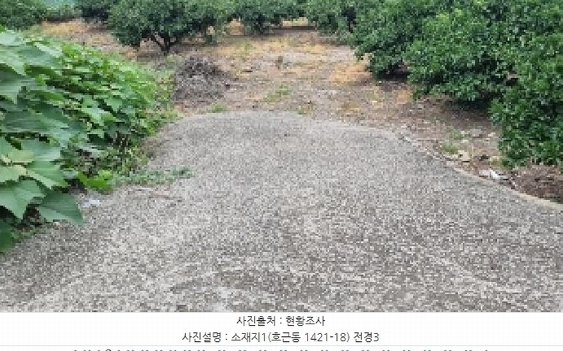 2025타경8341 제주특별자치도 서귀포시 호근동 1421-18 농지 경매 이미지