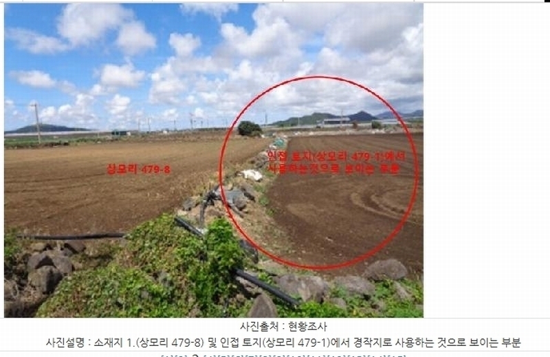 2025타경8591 제주특별자치도 서귀포시 대정읍 상모리 479-8 농지 경매 이미지
