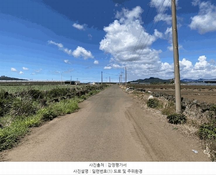 2025타경8591 제주특별자치도 서귀포시 대정읍 상모리 479-8 농지 경매 이미지