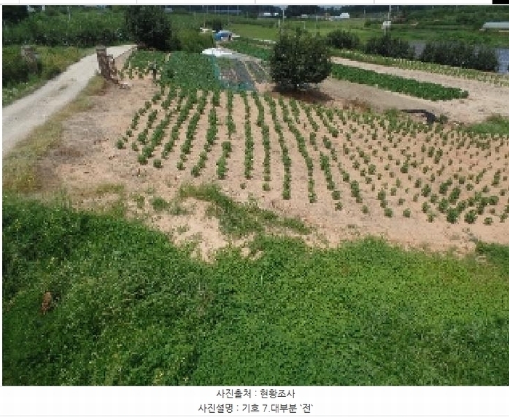 2025타경425 충청남도 논산시 은진면 용산리 163-6 농지 경매 이미지